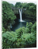 Wailuku River's Rainbow Falls by Anonymous