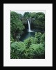 Wailuku River's Rainbow Falls by Anonymous