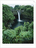 Wailuku River's Rainbow Falls by Anonymous