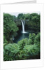 Wailuku River's Rainbow Falls by Anonymous