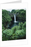 Wailuku River's Rainbow Falls by Anonymous