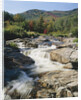 Ausable River Rapids by Anonymous