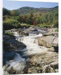 Ausable River Rapids by Anonymous