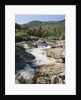 Ausable River Rapids by Anonymous