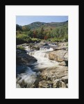 Ausable River Rapids by Anonymous