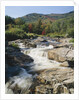 Ausable River Rapids by Anonymous