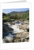 Ausable River Rapids by Anonymous