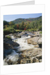 Ausable River Rapids by Anonymous