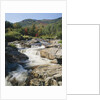 Ausable River Rapids by Anonymous