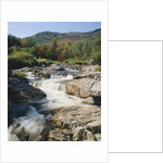 Ausable River Rapids by Anonymous
