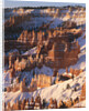Bryce Canyon Amphitheater by Anonymous