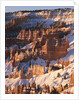 Bryce Canyon Amphitheater by Anonymous