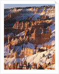 Bryce Canyon Amphitheater by Anonymous