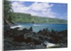 Lava Rock Along Keanae Peninsula by Anonymous