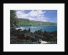 Lava Rock Along Keanae Peninsula by Anonymous