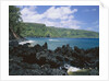 Lava Rock Along Keanae Peninsula by Anonymous