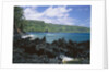 Lava Rock Along Keanae Peninsula by Anonymous