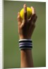 Hand of a Wimbledon Ball Boy Holding a Tennis Ball by Anonymous