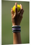 Hand of a Wimbledon Ball Boy Holding a Tennis Ball by Anonymous