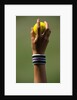 Hand of a Wimbledon Ball Boy Holding a Tennis Ball by Anonymous