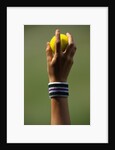 Hand of a Wimbledon Ball Boy Holding a Tennis Ball by Anonymous