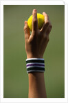 Hand of a Wimbledon Ball Boy Holding a Tennis Ball by Anonymous