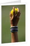 Hand of a Wimbledon Ball Boy Holding a Tennis Ball by Anonymous