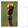 Hand of a Wimbledon Ball Boy Holding a Tennis Ball by Anonymous