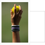 Hand of a Wimbledon Ball Boy Holding a Tennis Ball by Anonymous