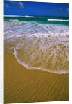 Kangaroo Island Surf by Anonymous