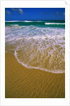 Kangaroo Island Surf by Anonymous