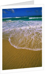 Kangaroo Island Surf by Anonymous