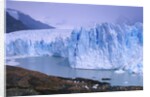 Moreno Glacier and Lago Argentino by Anonymous