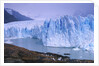 Moreno Glacier and Lago Argentino by Anonymous