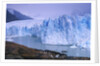 Moreno Glacier and Lago Argentino by Anonymous