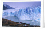 Moreno Glacier and Lago Argentino by Anonymous