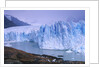Moreno Glacier and Lago Argentino by Anonymous