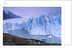 Moreno Glacier and Lago Argentino by Anonymous