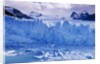 Moreno Glacier and Lago Argentino by Anonymous