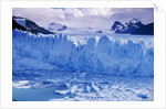 Moreno Glacier and Lago Argentino by Anonymous