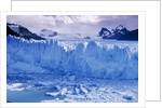 Moreno Glacier and Lago Argentino by Anonymous