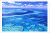 Australia's Great Barrier Reef by Anonymous