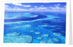 Australia's Great Barrier Reef by Anonymous