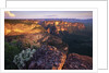 Sandstone Cliffs at Sunset by Anonymous