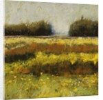 View from Dale Farm by Lou Wall