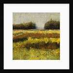 View from Dale Farm by Lou Wall