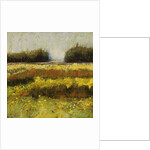 View from Dale Farm by Lou Wall