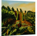 Persephone in the Vineyard by Anne Belov