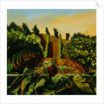 Persephone in the Vineyard by Anne Belov