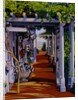 Passages by Anne Belov